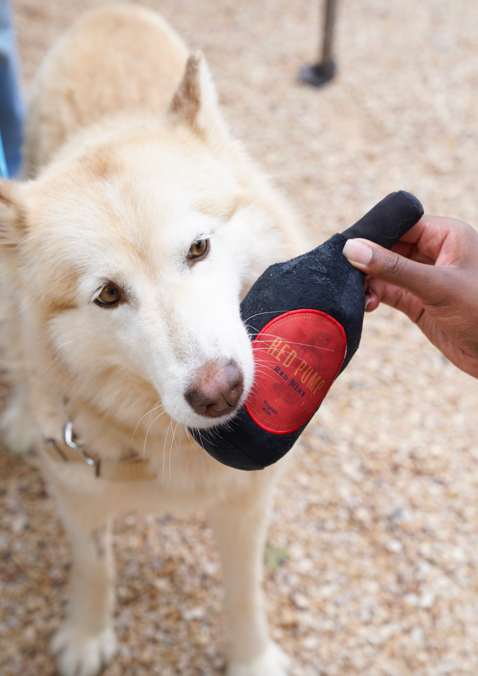 Pippin Hill Dog Toy
